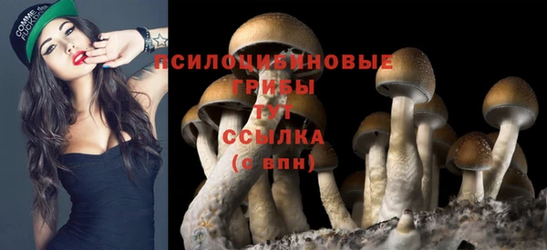 стафф Дмитриев
