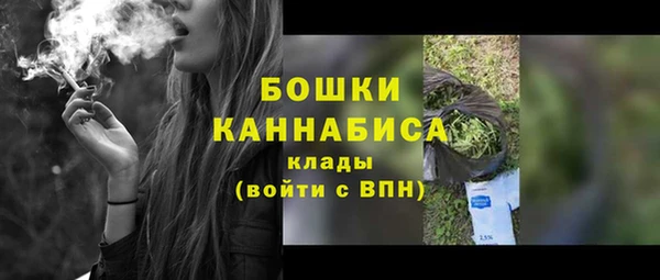 стафф Дмитриев