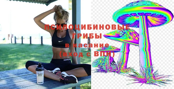 винт Дмитровск