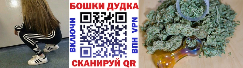Канабис сатива Северодвинск